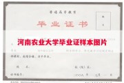河南农业大学毕业证样本图片
