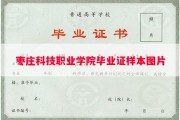 枣庄科技职业学院毕业证样本图片