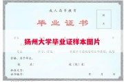 扬州大学毕业证样本图片
