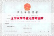 辽宁大学毕业证样本图片