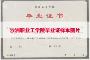 沙洲职业工学院毕业证样本图片