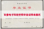 长春电子科技学院毕业证样本图片
