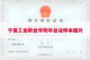 宁夏工业职业学院毕业证样本图片