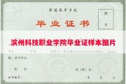 滨州科技职业学院毕业证样本图片