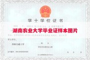 湖南农业大学毕业证样本图片