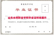 山东水利职业学院毕业证样本图片