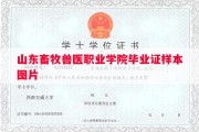 山东畜牧兽医职业学院毕业证样本图片