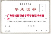 广东碧桂园职业学院毕业证样本图片