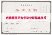 西藏藏医药大学毕业证样本图片