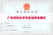 广东药科大学毕业证样本图片
