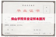 保山学院毕业证样本图片
