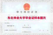 东北林业大学毕业证样本图片