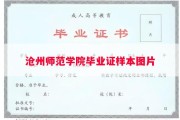 沧州师范学院毕业证样本图片