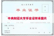 中央财经大学毕业证样本图片