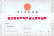 重庆警察学院毕业证样本图片