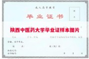 陕西中医药大学毕业证样本图片