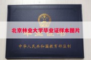 北京林业大学毕业证样本图片