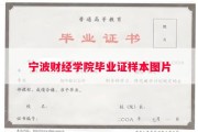 宁波财经学院毕业证样本图片