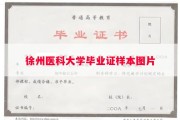 徐州医科大学毕业证样本图片