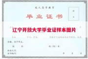 辽宁开放大学毕业证样本图片