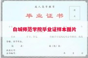白城师范学院毕业证样本图片