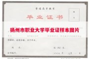 扬州市职业大学毕业证样本图片