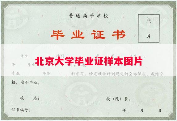 北京大学毕业证样本图片