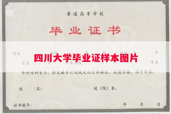 四川大学毕业证样本图片