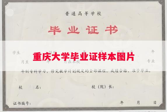 重庆大学毕业证样本图片