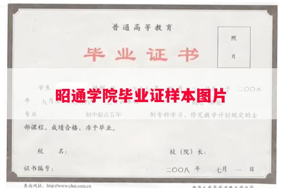 昭通学院毕业证样本图片