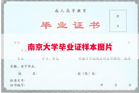 南京大学毕业证样本图片