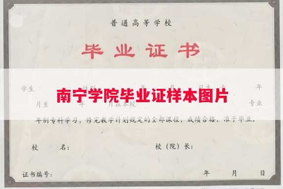 南宁学院毕业证样本图片