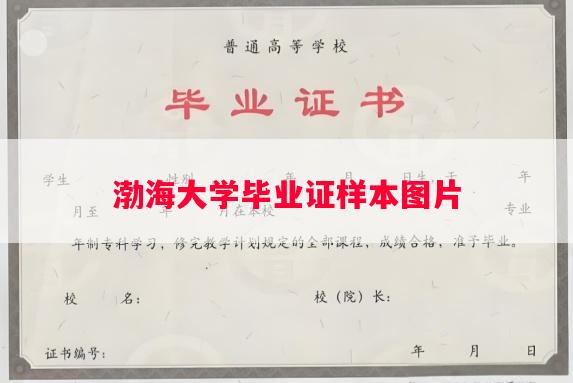 渤海大学毕业证样本图片