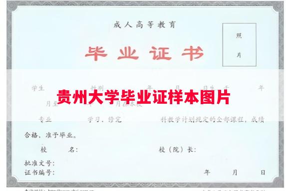 贵州大学毕业证样本图片