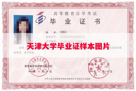 天津大学毕业证样本图片