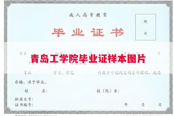 青岛工学院毕业证样本图片
