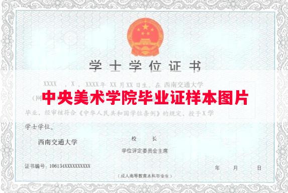 中央美术学院毕业证样本图片