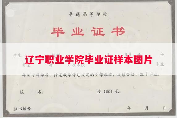 辽宁职业学院毕业证样本图片