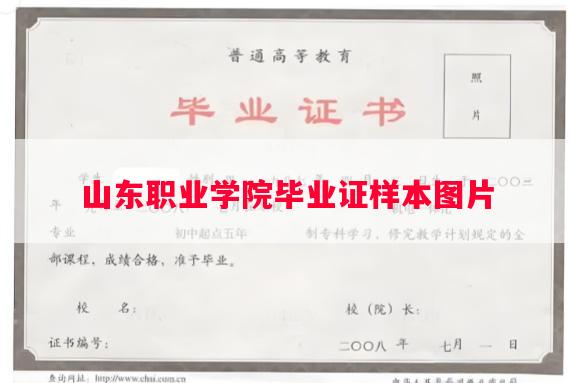 山东职业学院毕业证样本图片