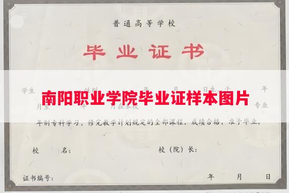 南阳职业学院毕业证样本图片