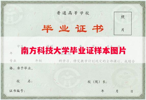南方科技大学毕业证样本图片