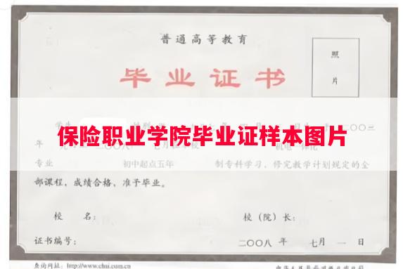 保险职业学院毕业证样本图片