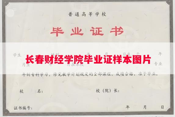 长春财经学院毕业证样本图片