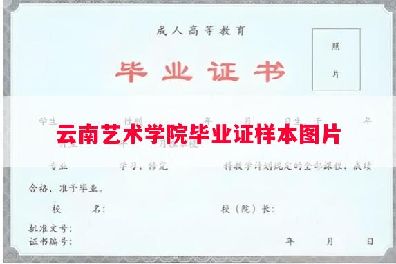 云南艺术学院毕业证样本图片