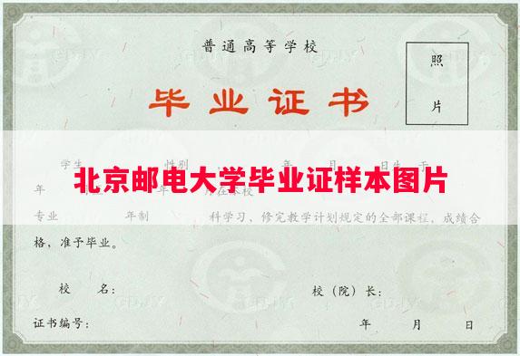 北京邮电大学毕业证样本图片