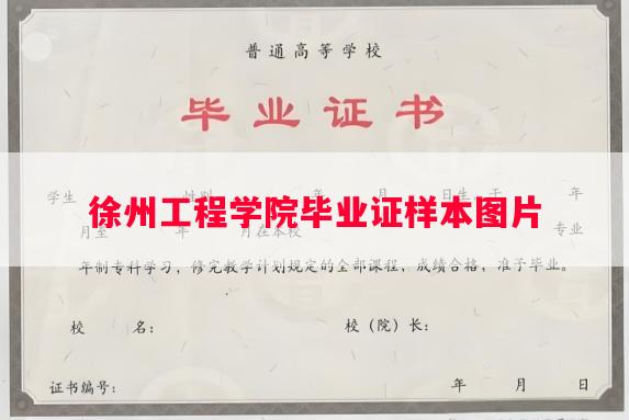 徐州工程学院毕业证样本图片