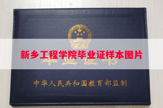 新乡工程学院毕业证样本图片