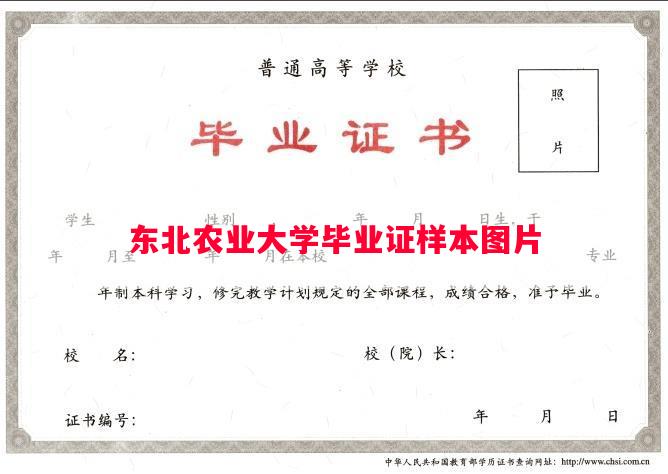 东北农业大学毕业证样本图片