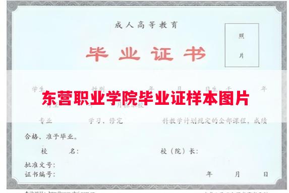 东营职业学院毕业证样本图片