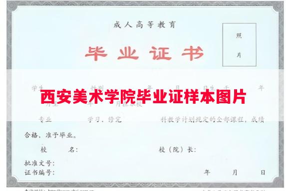 西安美术学院毕业证样本图片